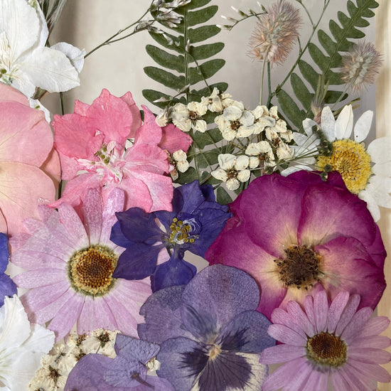 Zasněná kapradíčka