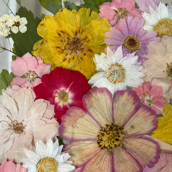 Pro krále lesních elfů