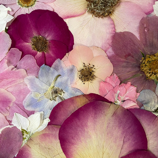 Zrcadlo květinové duše