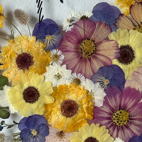 Motýlek na čumáčku