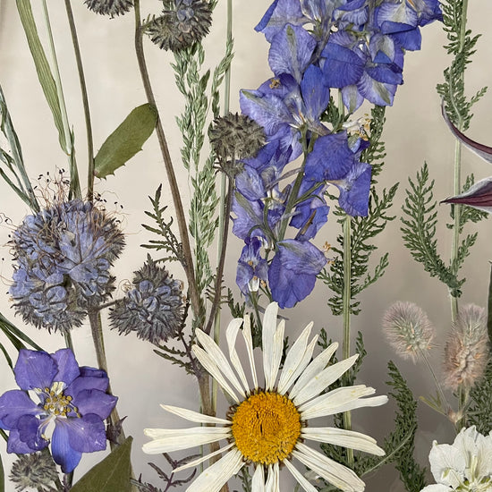 U potoka roste kvítí