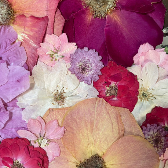 S doteky červánků