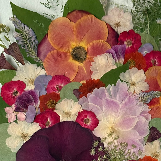 Vášeň, která vykvétá a hřeje tě