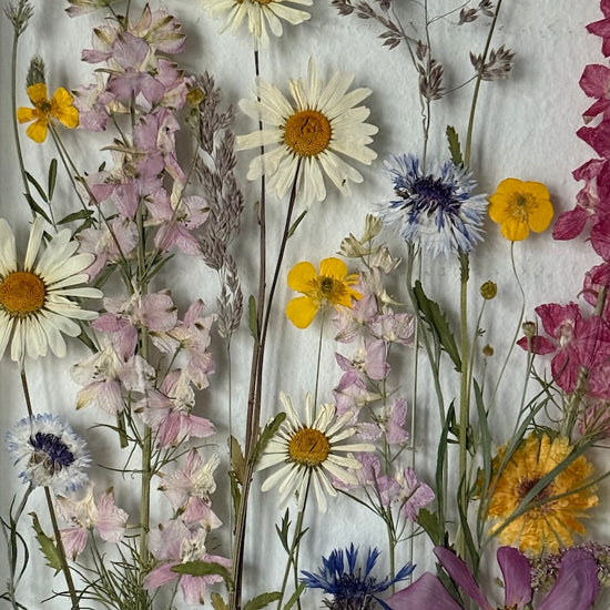 Pestrobarevný svět