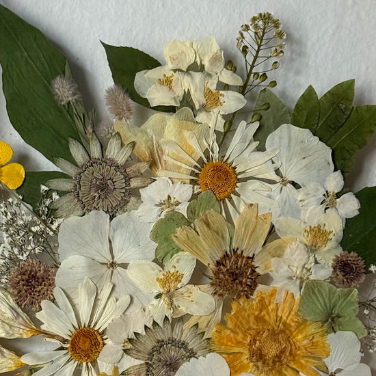 Když příroda kouzlí