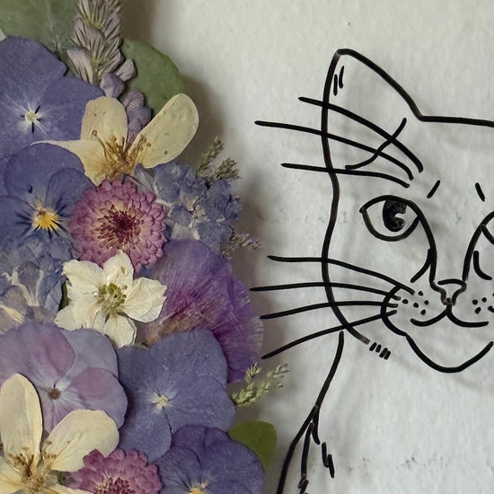 Královská kočička