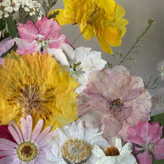 Něžná píseň barev