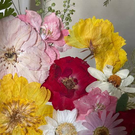 Něžná exploze jara