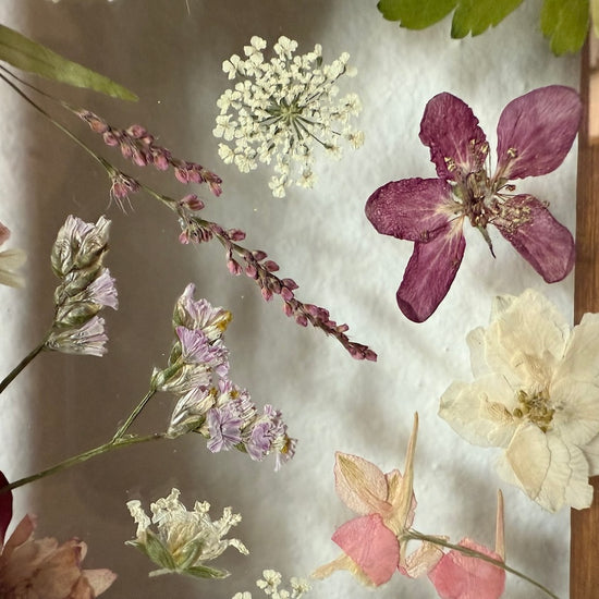 Lístečkové růžky