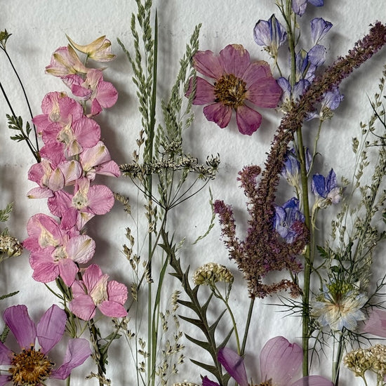 Ticho na louce za soumraku