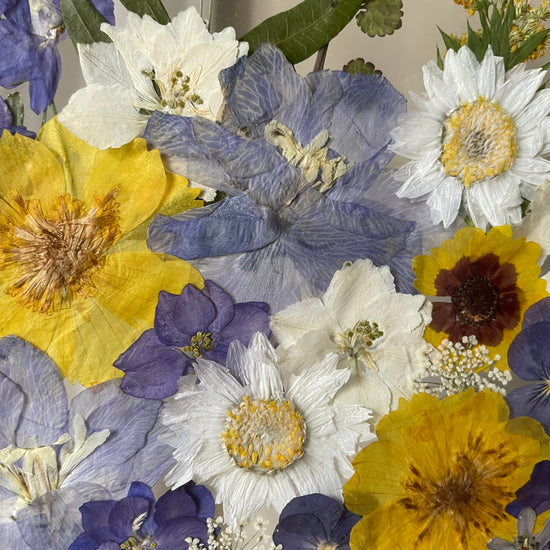 Mrazíkem pokrytá obloha