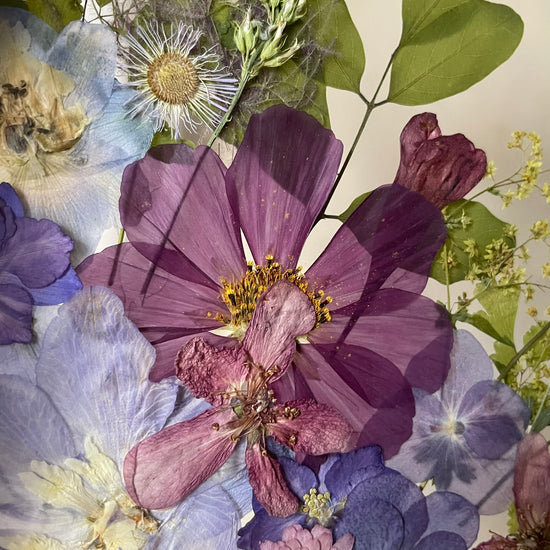 Šepot modrého soumraku