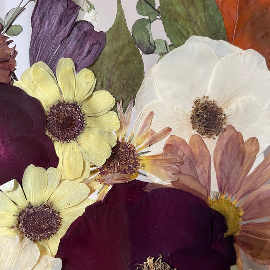 Ráda se procházím spadaným listím