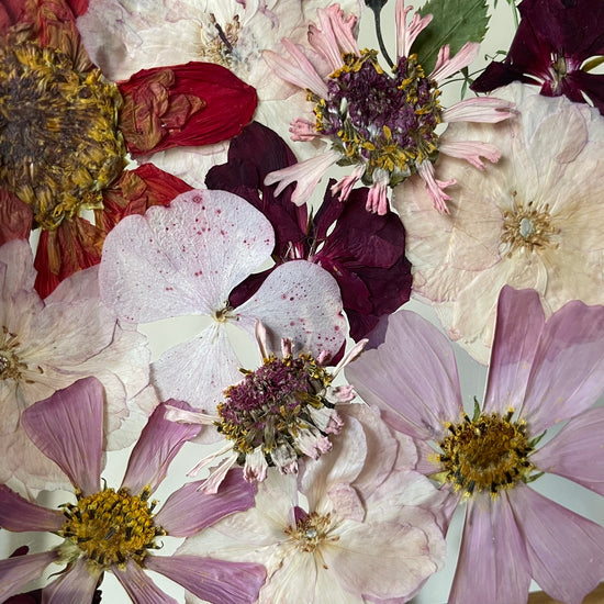 Za růžového večera