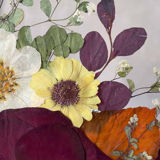 Sbírám kaštánky pro štěstí