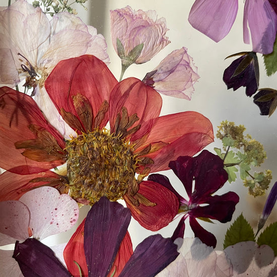 Z prvního dne podzimu