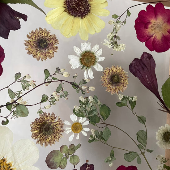 Jako vznešený květinový ornament