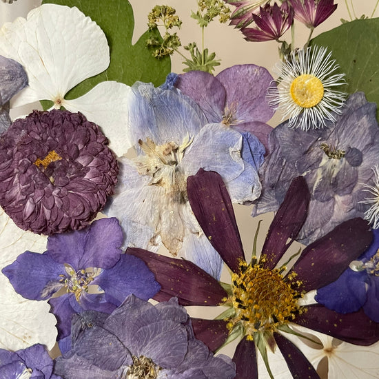 Taneček v říši podivných snů