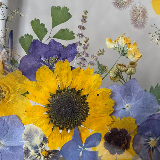 Zdál se mi krásný sen