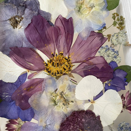 Puget plný podivností