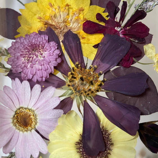 V tónech e moll stupnice