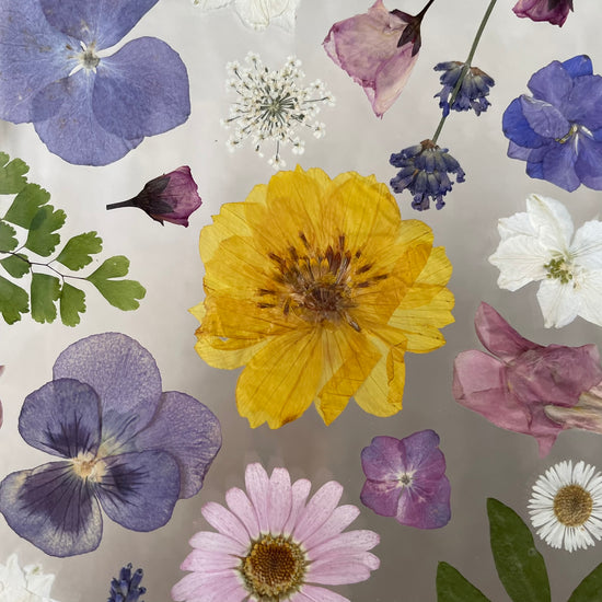 Jarní déšť květů