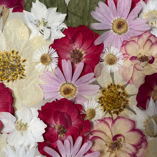 Červená se, line záře