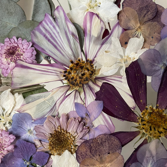 Kvítíčko fialkové