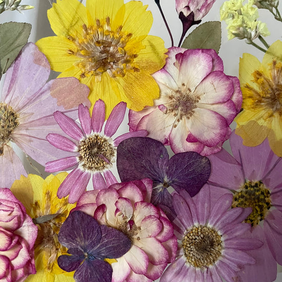 O podstatě světla v květu