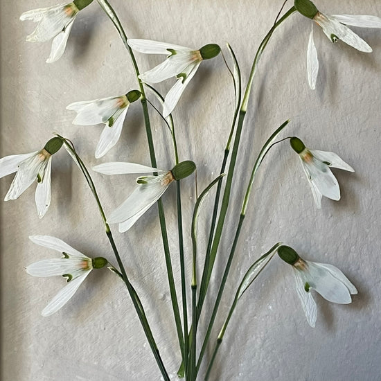 Tiché poselství jara