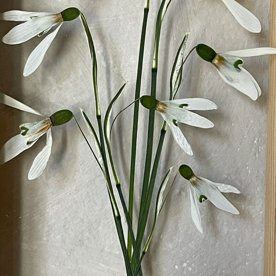 Něžnost, která roztála zimu