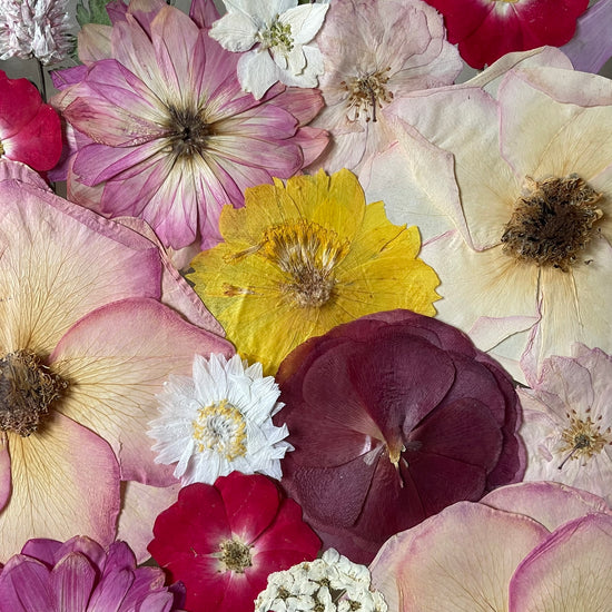 Znám jednu krásnou zahradu