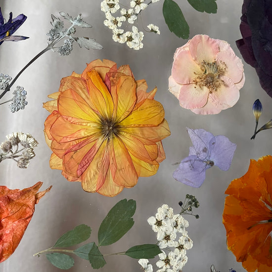 Probarvení do každého dne