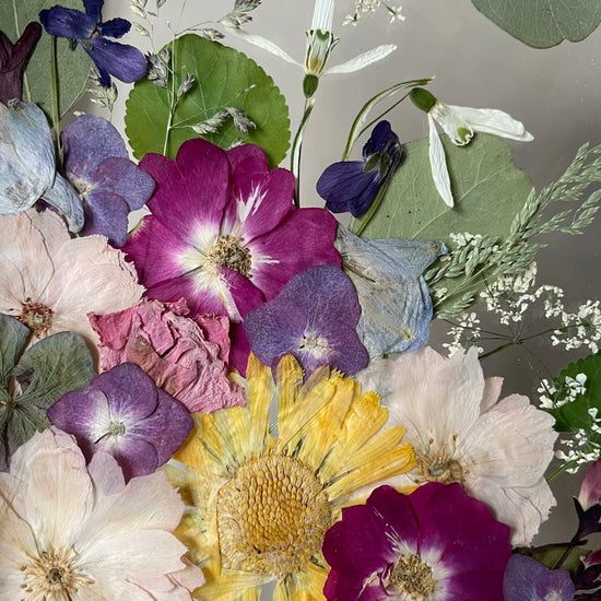 Všechny barvy duše