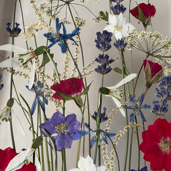 Loučka pro včelí tanečky