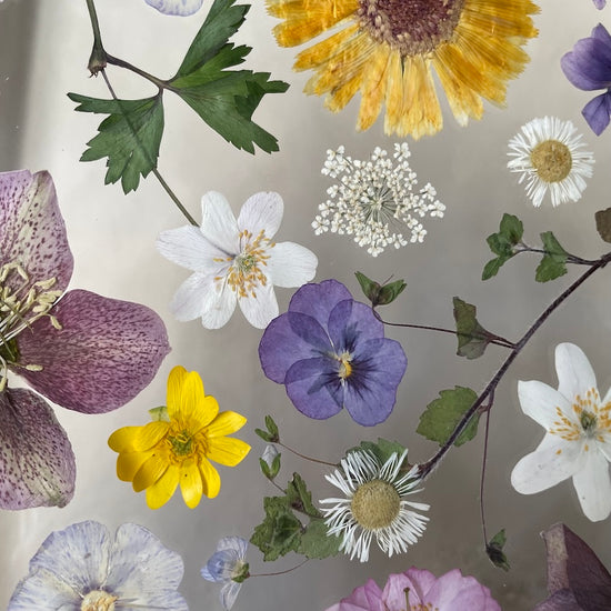 Přišlo jaro k nám