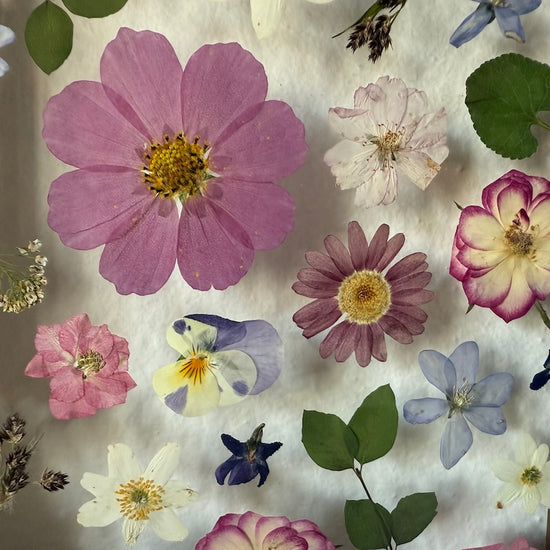 Květinkové pohoupání