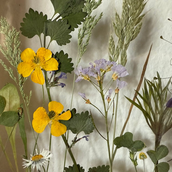 Slyšíš? Zvoní jaro