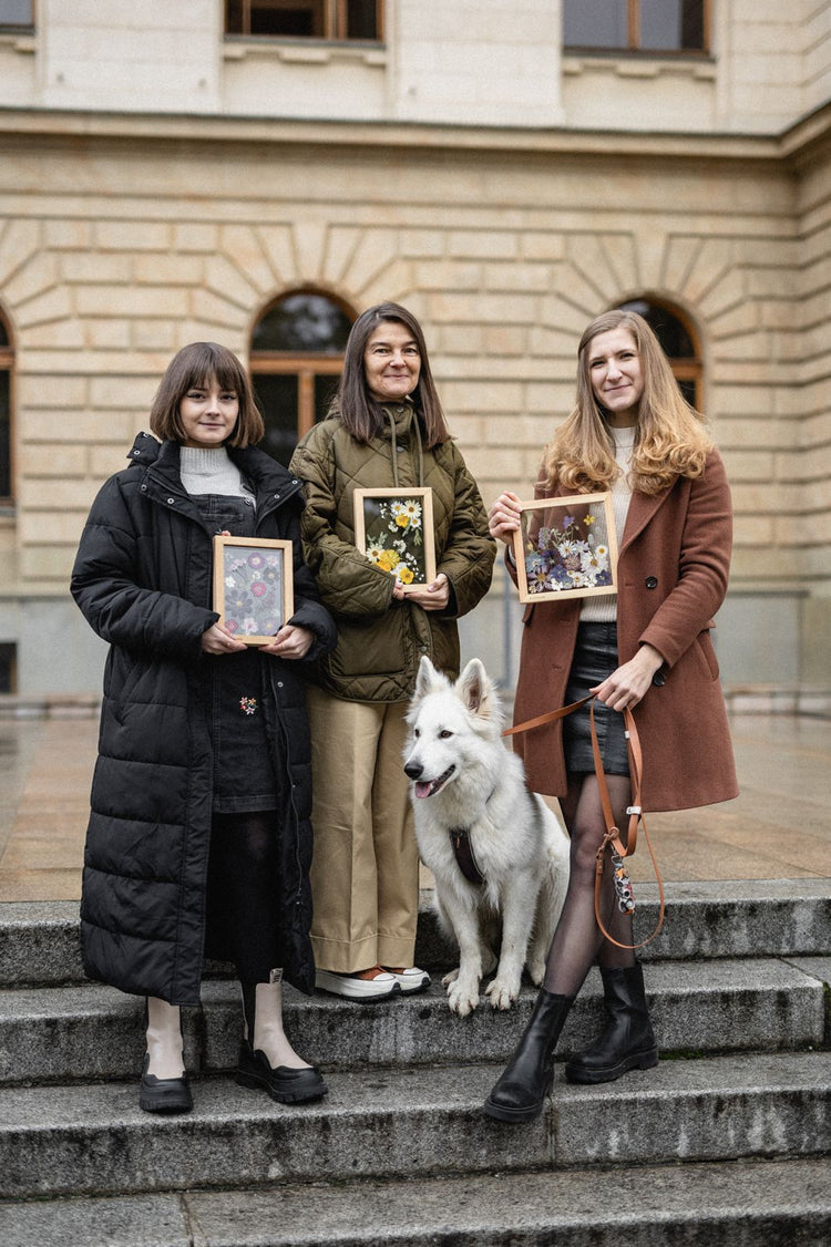 Tým LissWood kontakt