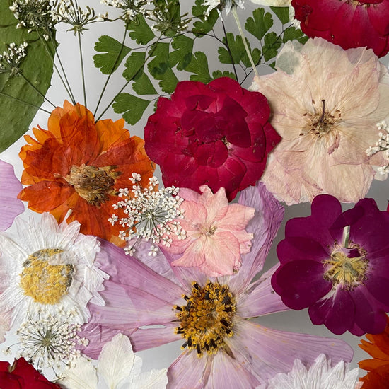 Cestička rozkvetlým údolíčkem