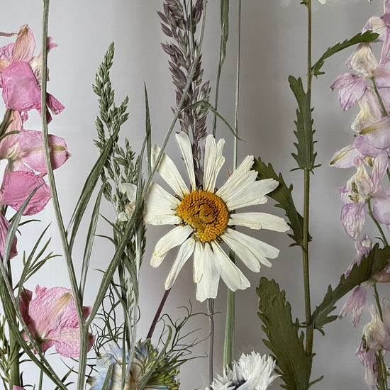 Proplétání v ostrožkách