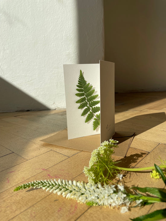 Přání s vylisovanou kapradinou