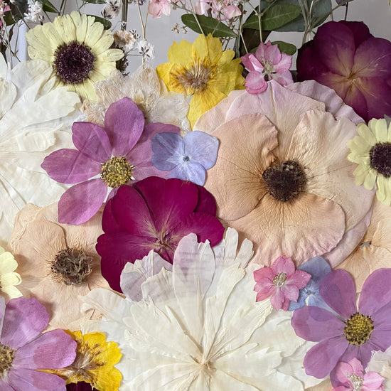 Kde je barva, tam je život