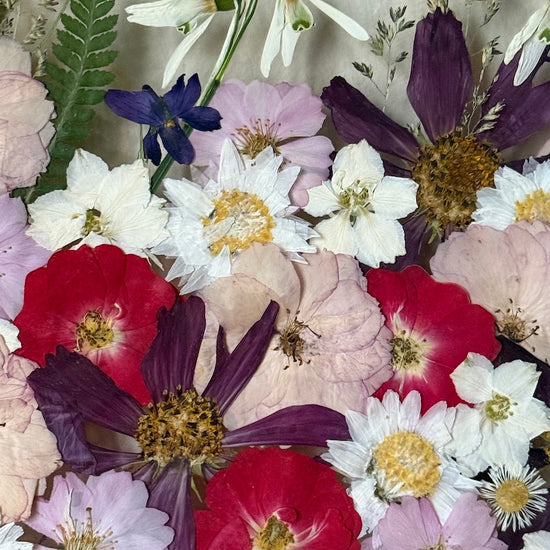 Jarní osvěženíčko