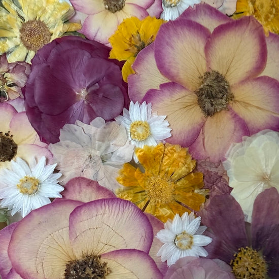 Jak rozkvétá duše