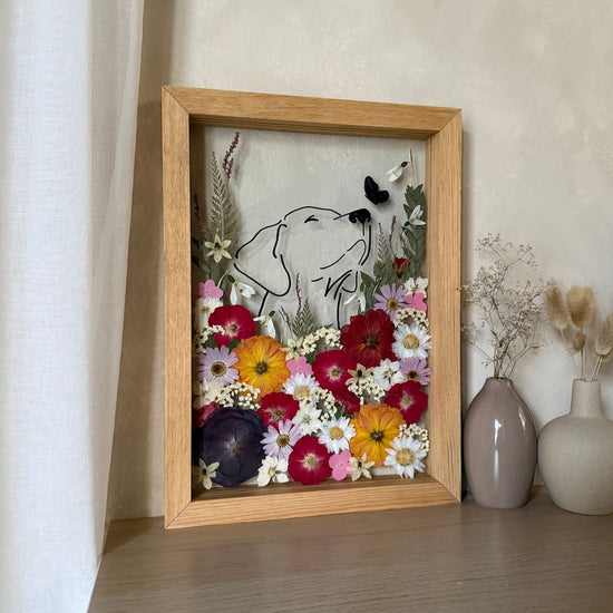 Za motýlkem rozkvetlou loukou