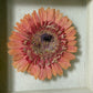 Gerbera
