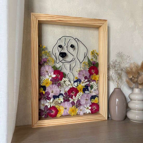 Chlupatý kamarád