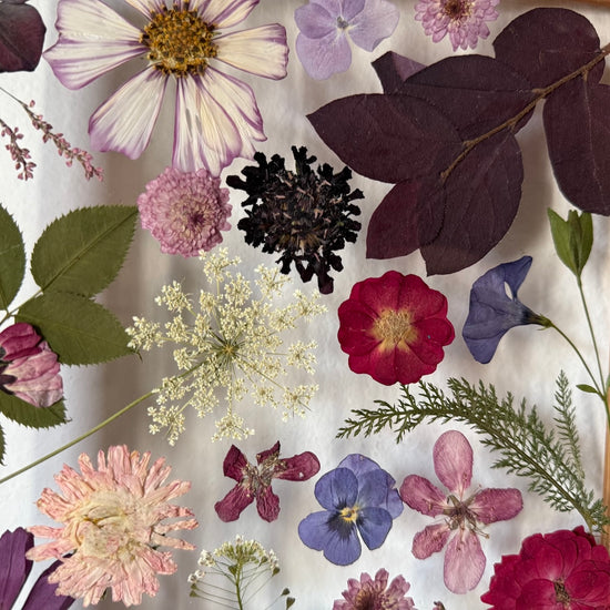 Rozkvetlá duše přírody