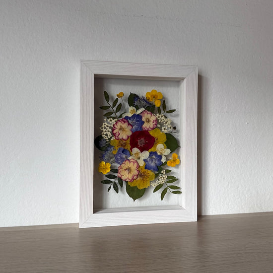 Rozmanitost folklóru